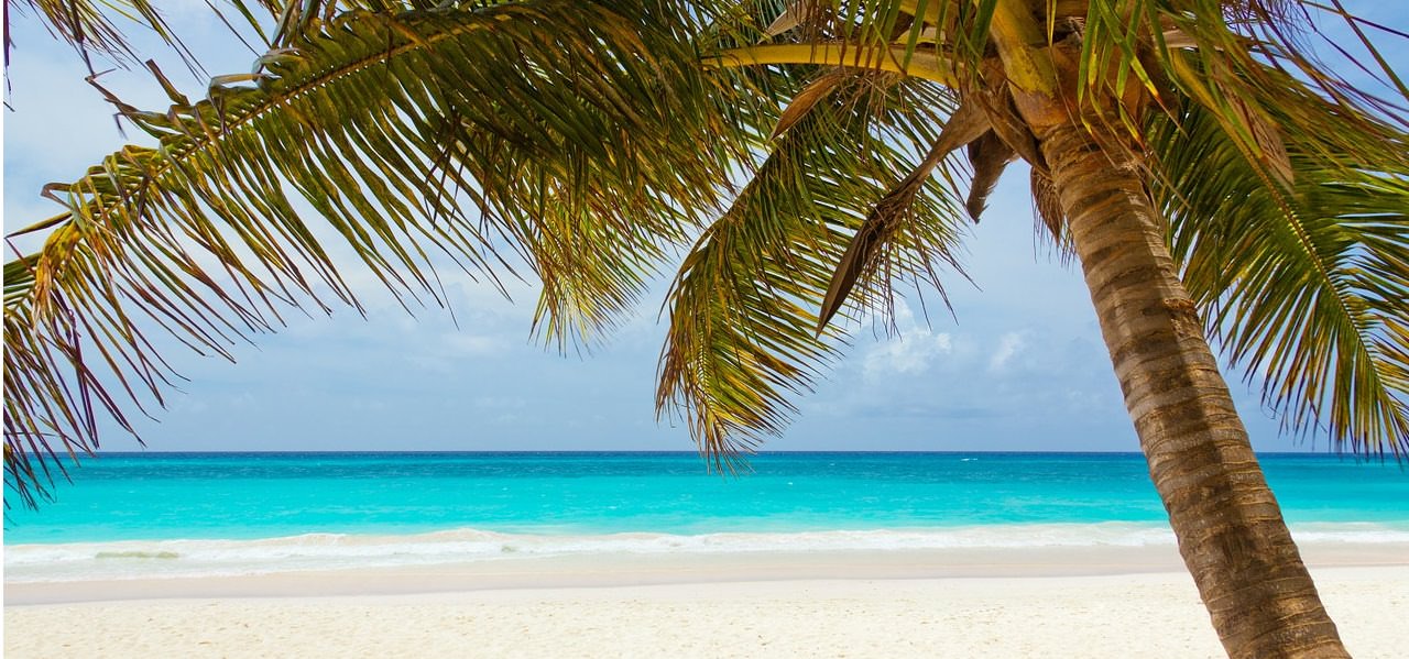 Das ideale Reisegepäck + Kabinentrolley - Samsonite All Direxions - Urlaub