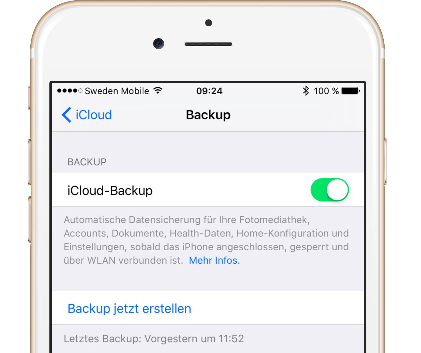 iCloud Backup nagt am mobilen Datenvolumen - Icloud Backup
