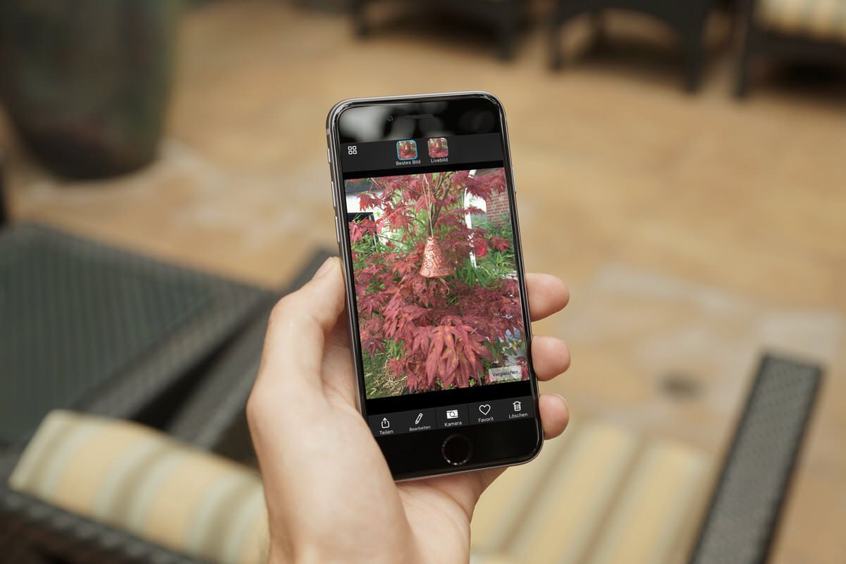 Einfach bessere Fotos mit Microsoft Pix - Microsoft Pix