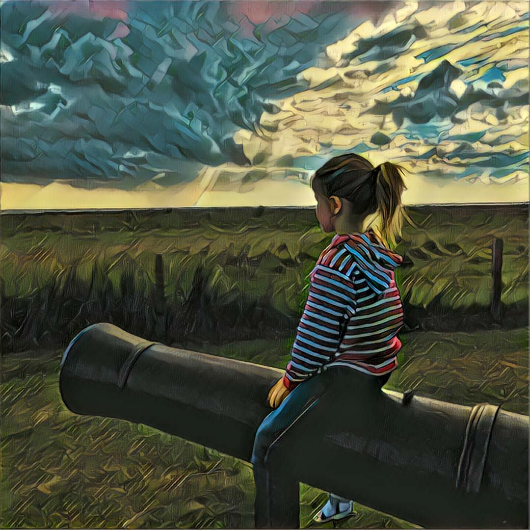 Foto-Filter App Prisma jetzt auch offline nutzen - Prisma 01