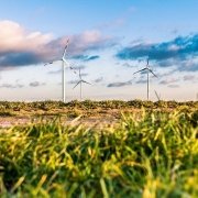 Klimaneutrales Unternehmen - So ist die Umstellung möglich