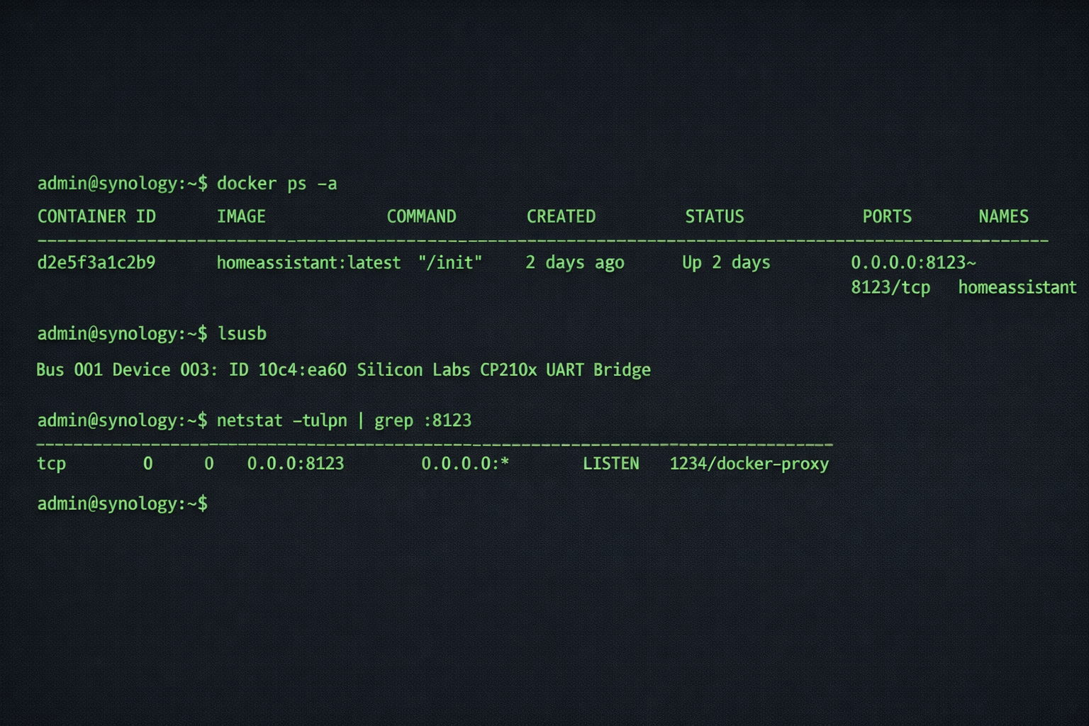 Synology NAS Terminal Screenshot mit Docker Home Assistant Container Status und USB-Geräte Überprüfung