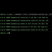 Home Assistant Terminal Log-Analyse für Homematic IP Verbindungsfehler