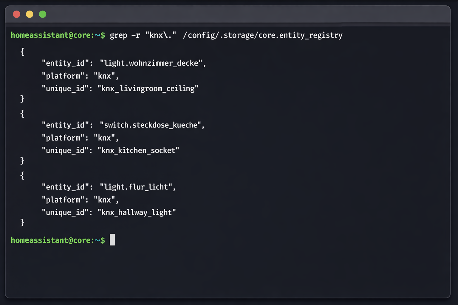 Terminal Screenshot KNX Entity Registry Prüfung in Home Assistant