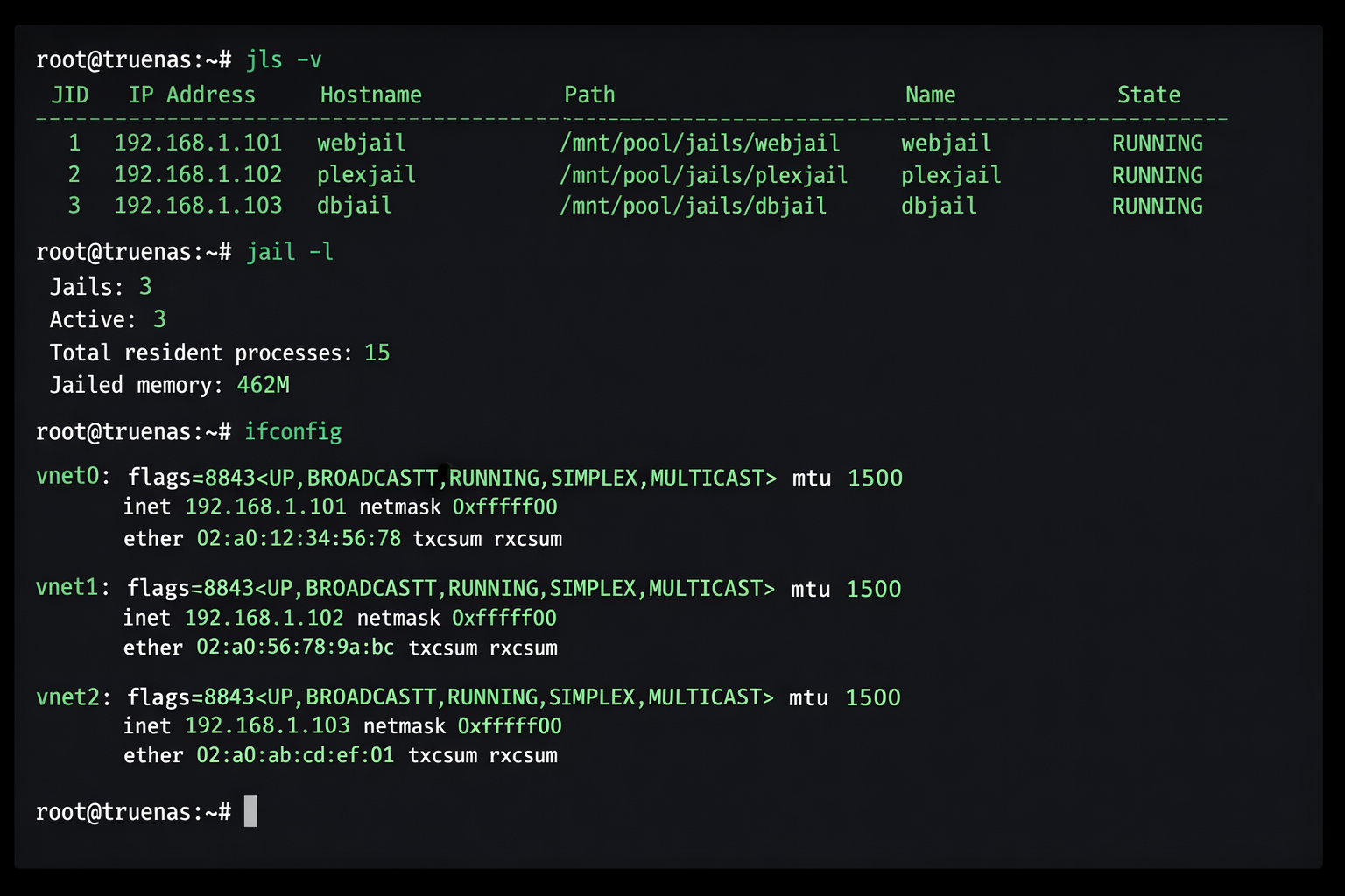 TrueNAS FreeBSD Jail Management Terminal mit jls und ifconfig Befehlen
