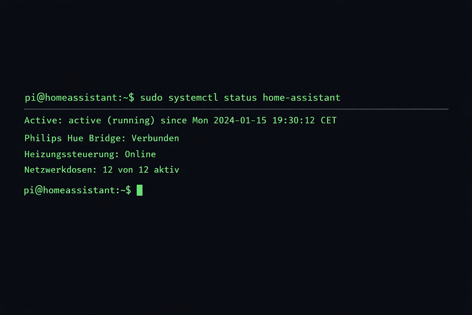 Terminal Screenshot mit Smart Home System Status und deutscher Ausgabe