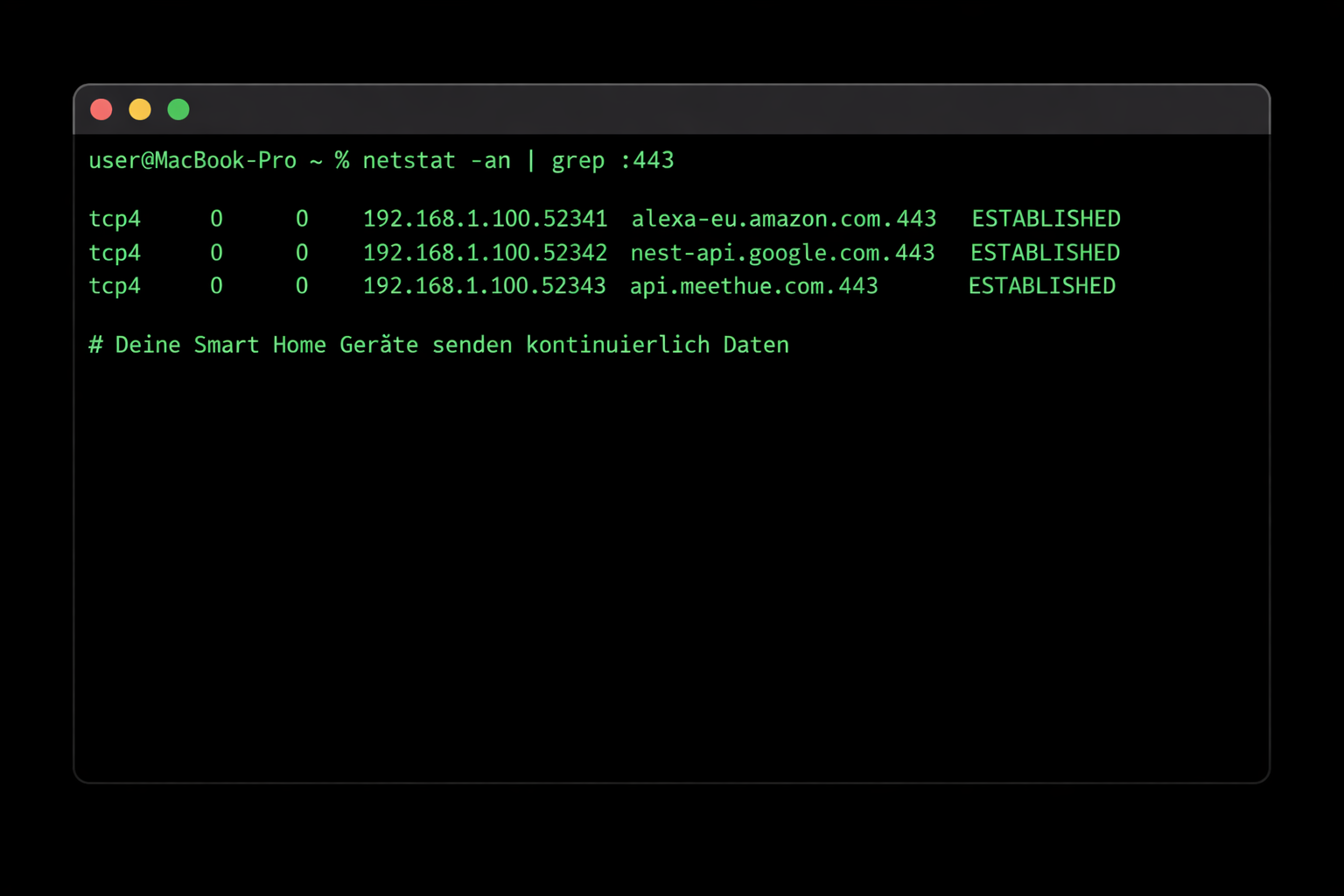 Terminal Screenshot zeigt aktive HTTPS-Verbindungen von Smart Home Geräten zu Amazon, Google und Philips Servern
