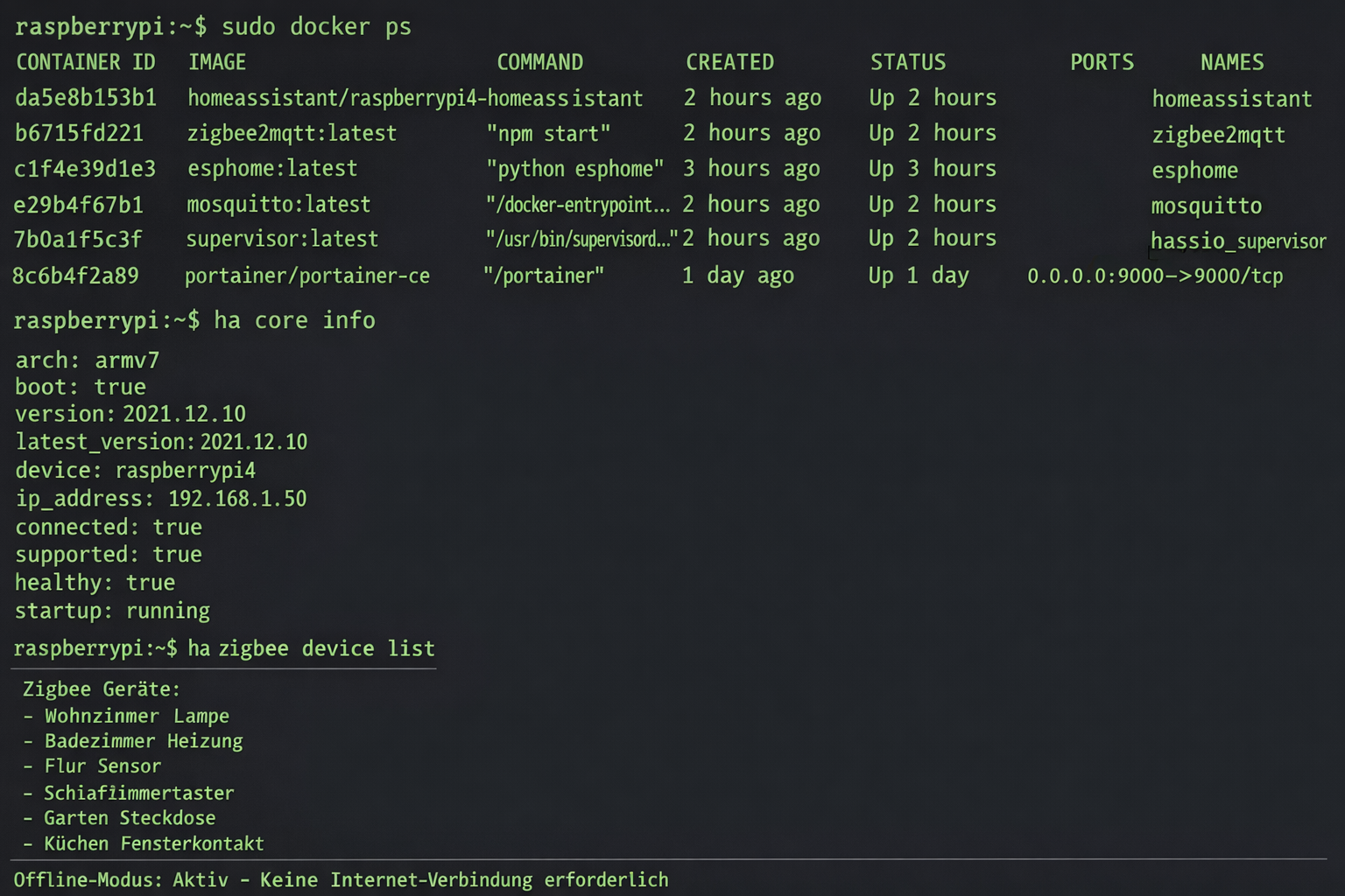 Raspberry Pi Terminal mit Home Assistant Offline-Modus und Zigbee-Geräten